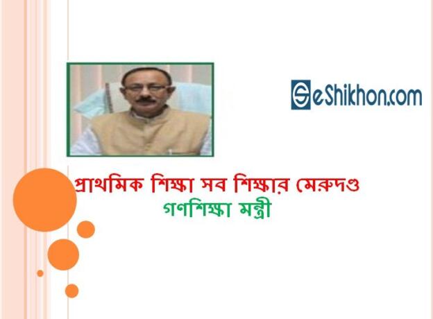 প্রাথমিক শিক্ষা সব শিক্ষার মেরুদণ্ড: গণশিক্ষা মন্ত্রী