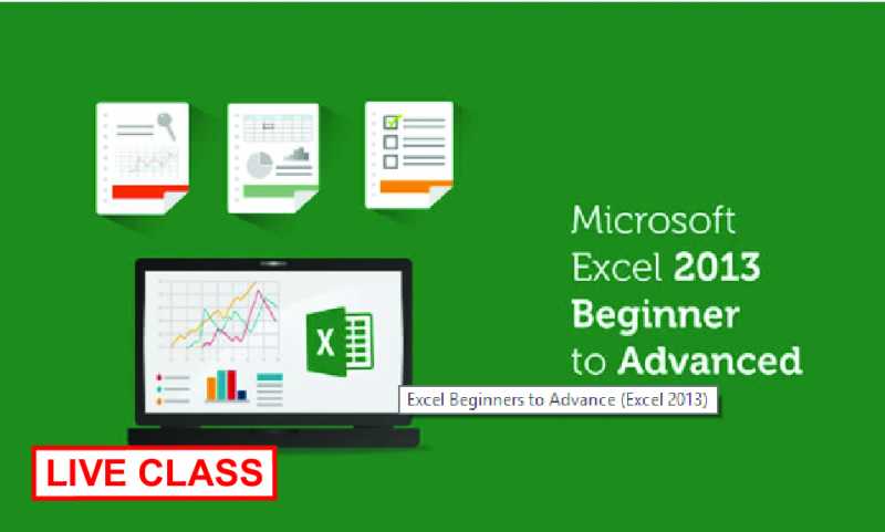 Excel Advance (Live Course)