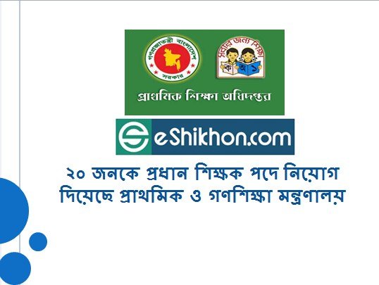 ২০ জনকে প্রধান শিক্ষক পদে নিয়োগ দিয়েছে প্রাথমিক ও গণশিক্ষা মন্ত্রণালয়