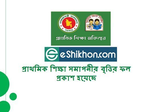 প্রাথমিক শিক্ষা সমাপনীর বৃত্তির ফল প্রকাশ হয়েছে