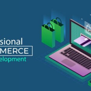 Complete Ecommerce Business Development (Video Course)
