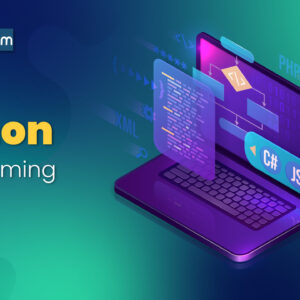 Complete Python Programming with Django (offline course)