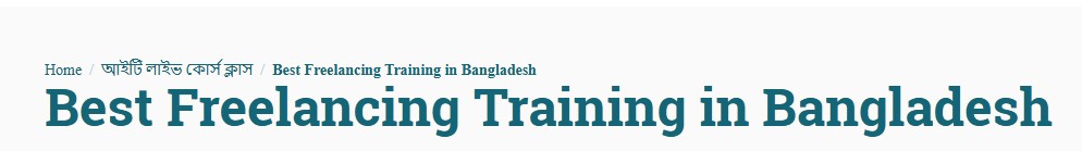 Best Freelancing Institute